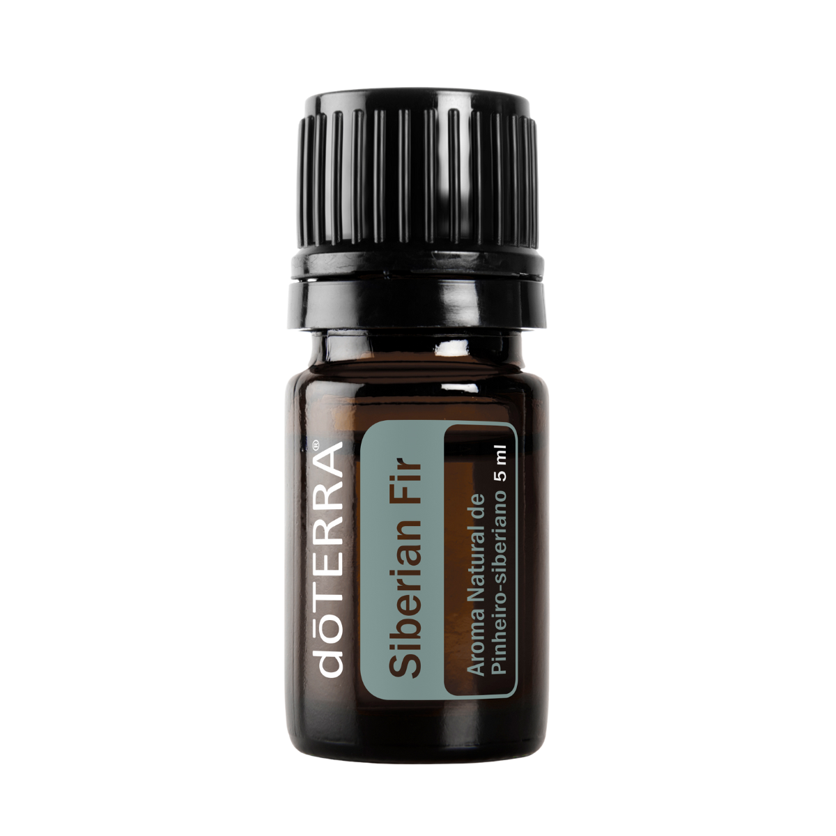 dōTERRA Siberian Fir Essential Oil - 5ml