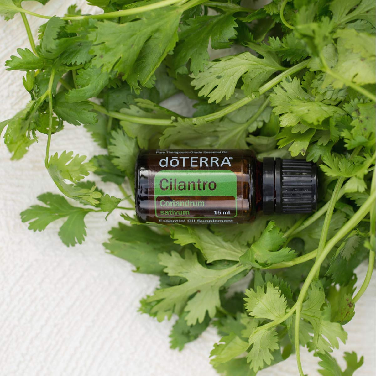 dōTERRA Cilantro Essential Oil Life