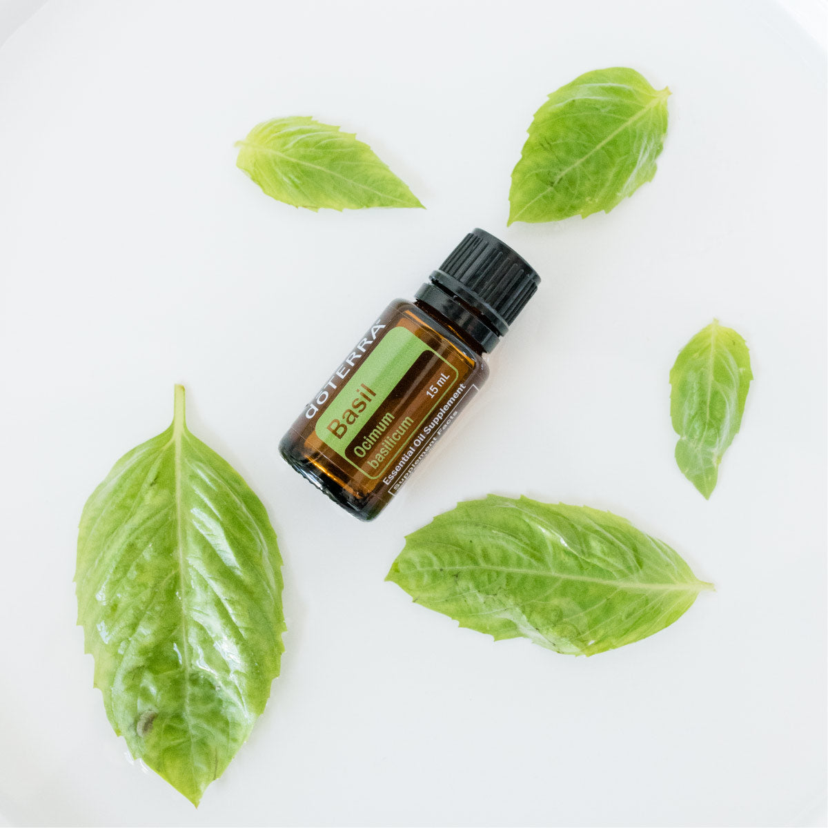 dōTERRA Basil Essential Oil Life