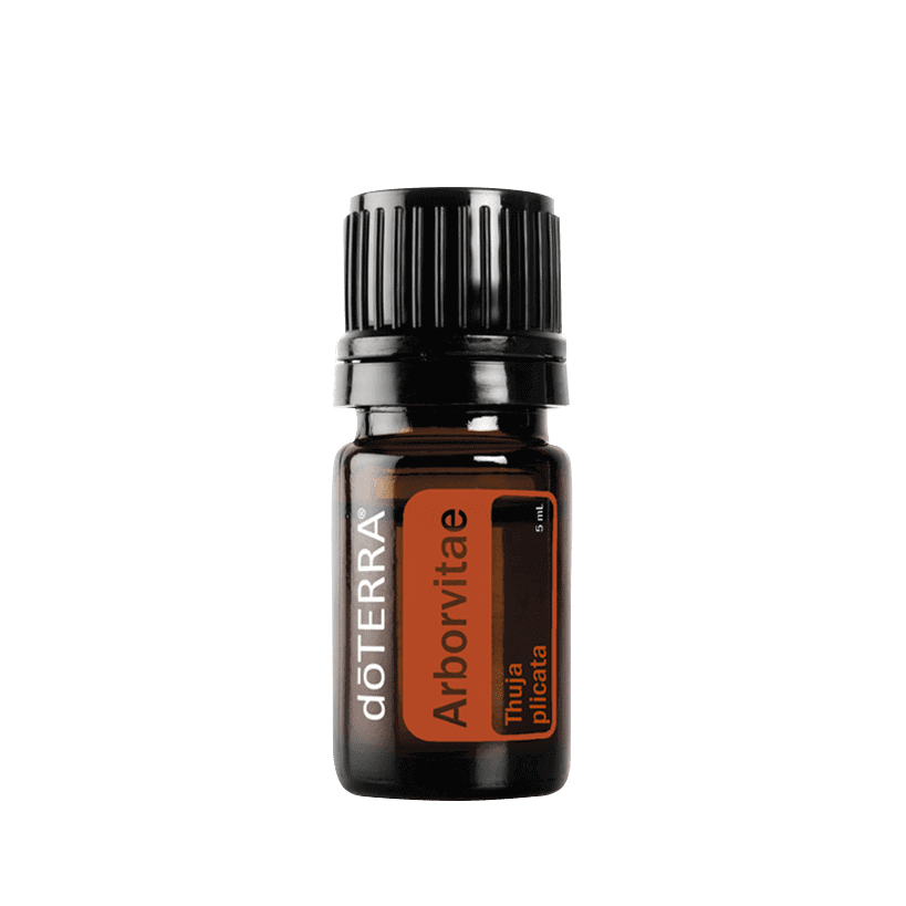 dōTERRA Arborvitae Essential Oil - 5ml