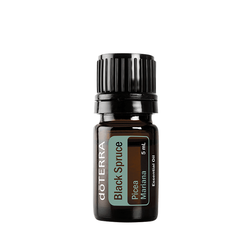 dōTERRA Black Spruce Essential Oil - 5ml