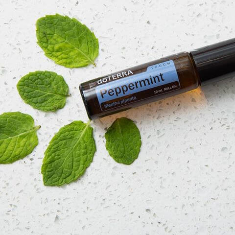 dōTERRA Peppermint Essential Oil Touch - 10ml Roll On