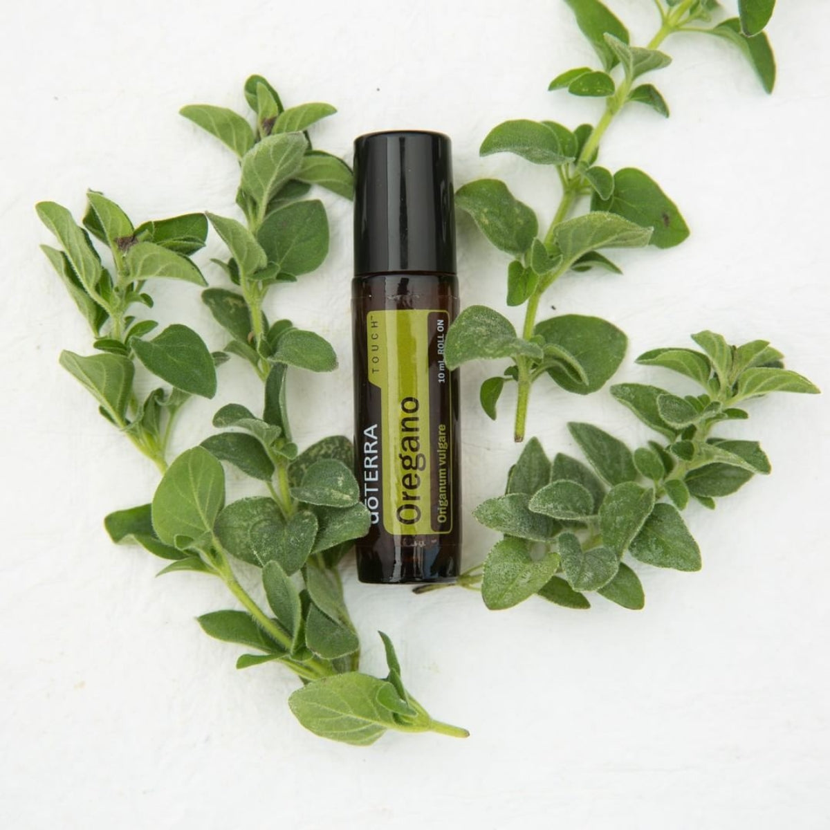 dōTERRA Oregano Essential Oil Touch Life