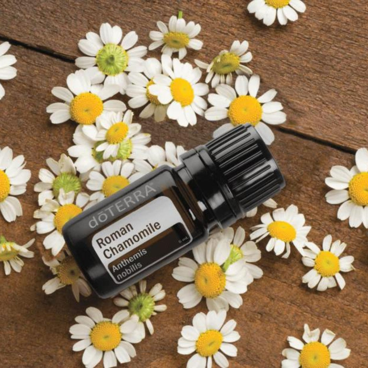 dōTERRA Roman Chamomile Essential Oil - 5ml