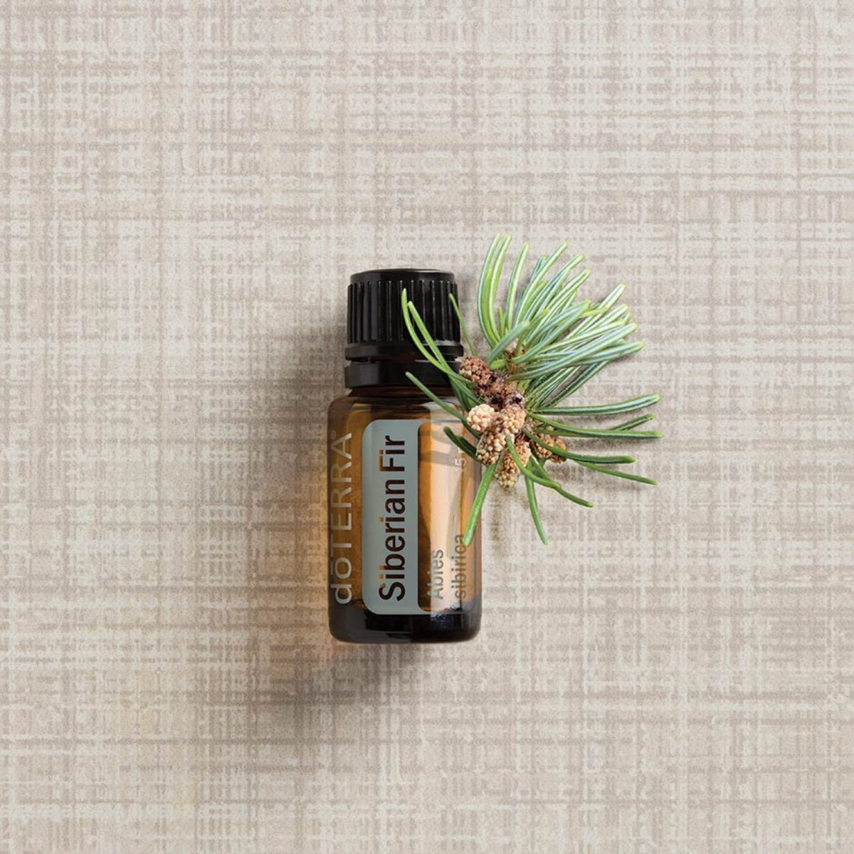 dōTERRA Siberian Fir Essential Oil Life