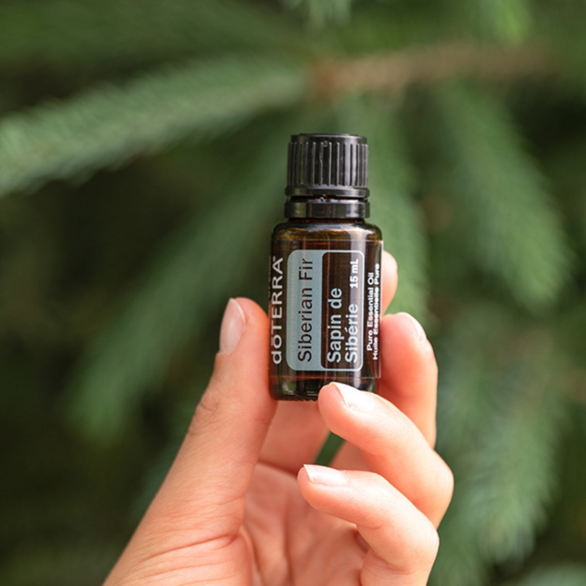 dōTERRA Siberian Fir Essential Oil - 15ml