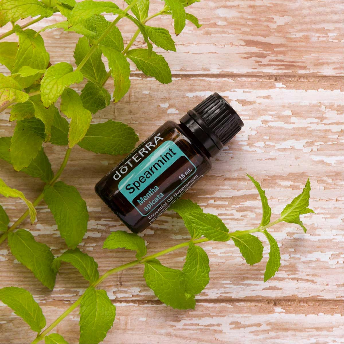 dōTERRA Spearmint Essential Oil Life