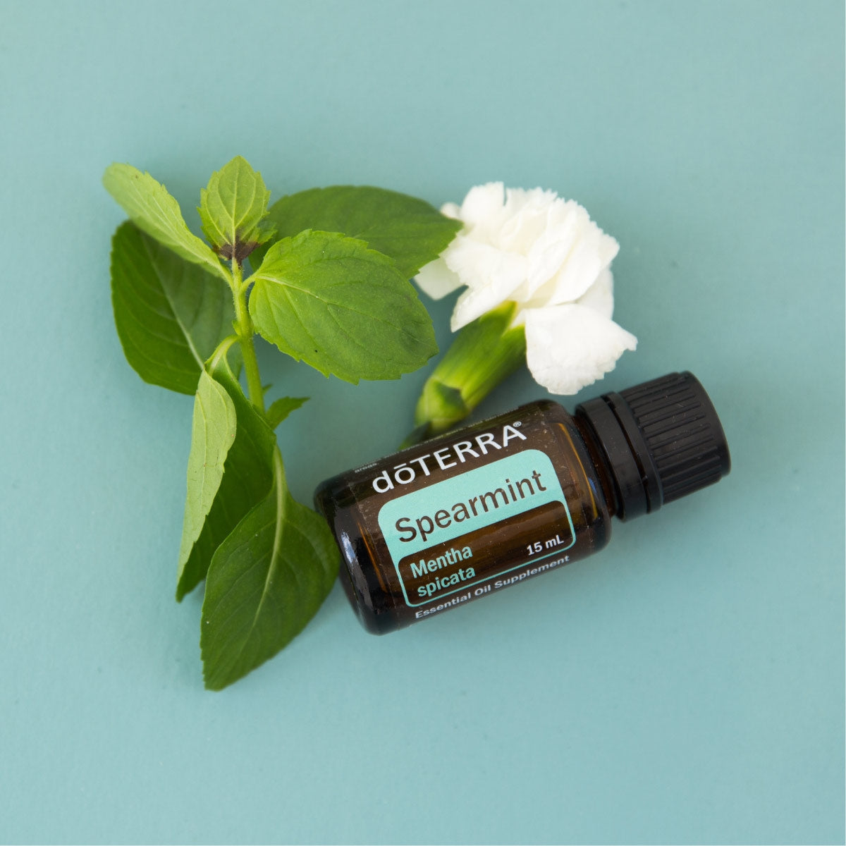 dōTERRA Spearmint Essential Oil - 15ml