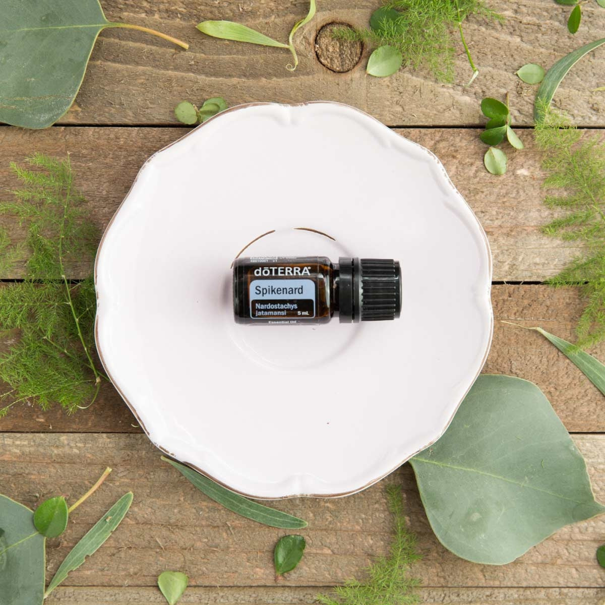 dōTERRA Spikenard Essential Oil - 5ml