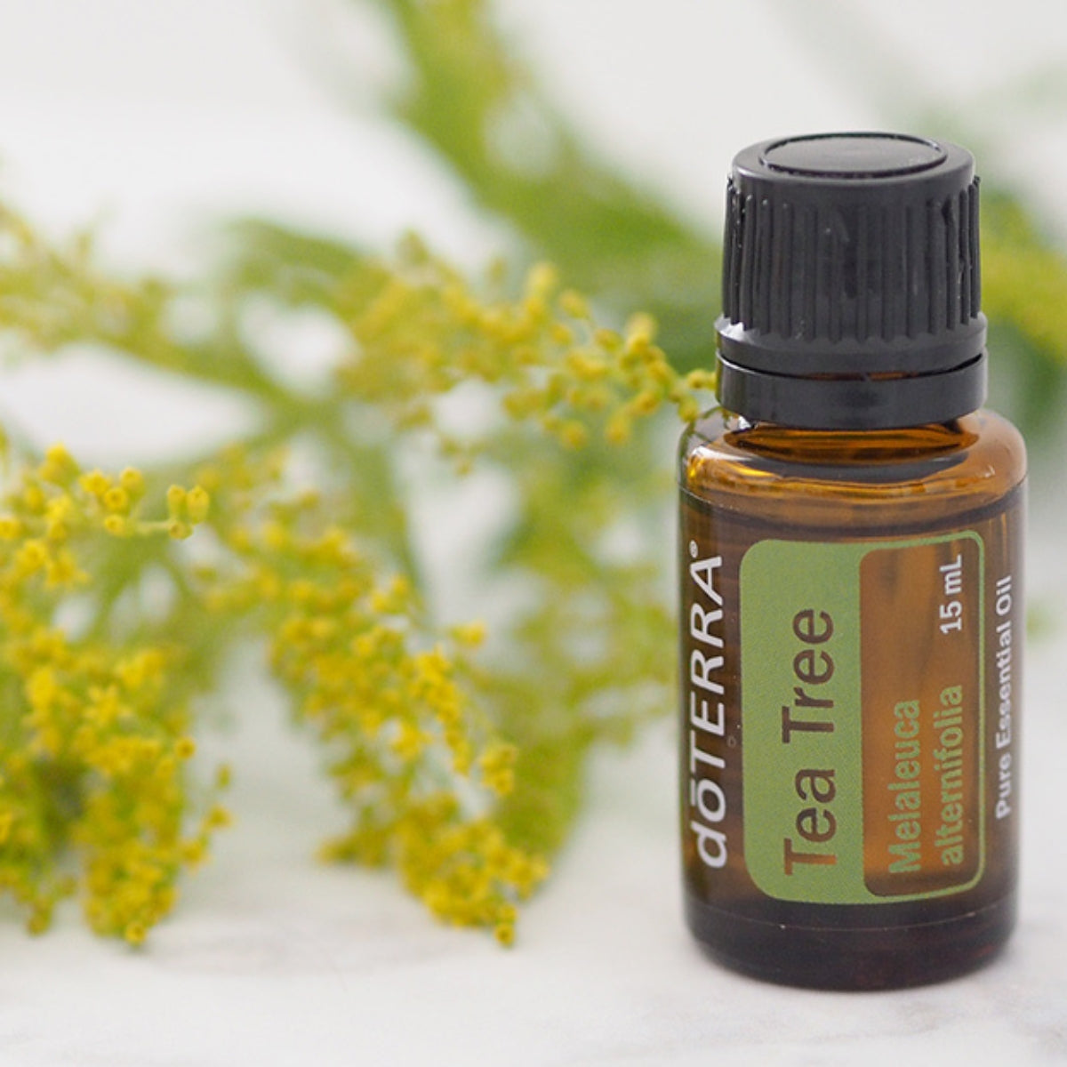 dōTERRA Tea Tree Essential Oil Life