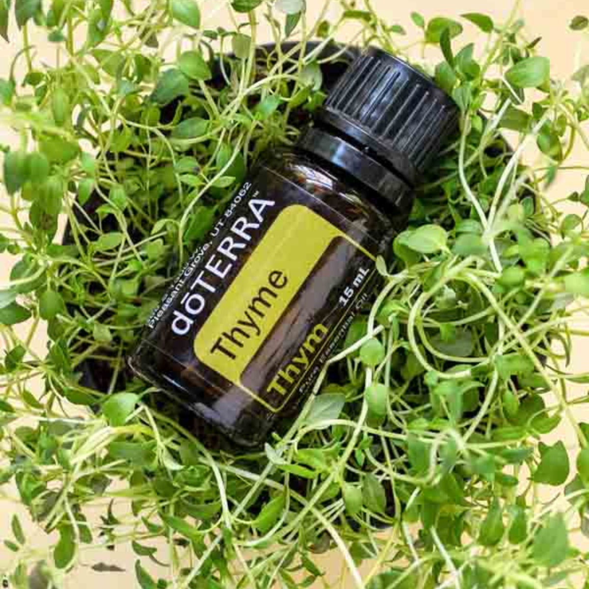 dōTERRA Thyme Essential Oil Life