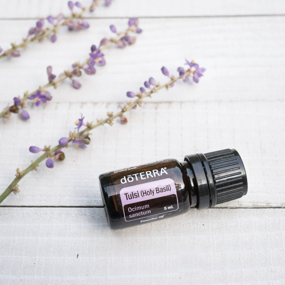 dōTERRA Tulsi (Holy Basil) Essential Oil - 5ml