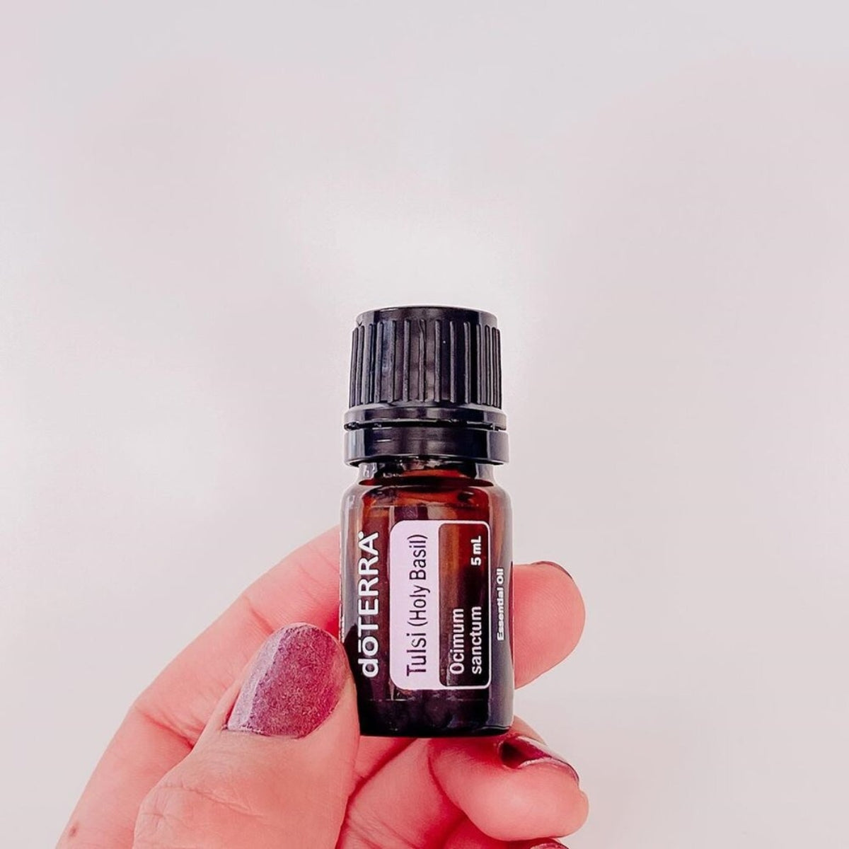 dōTERRA Tulsi (Holy Basil) Essential Oil - 5ml