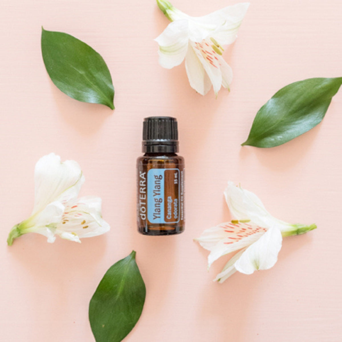 dōTERRA Ylang Ylang Essential Oil Life