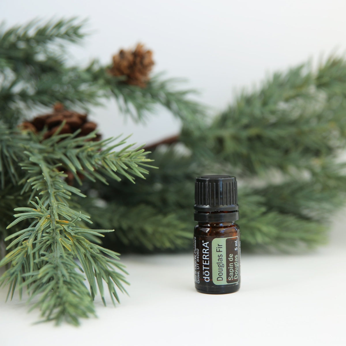 dōTERRA Douglas Fir Essential Oil Life