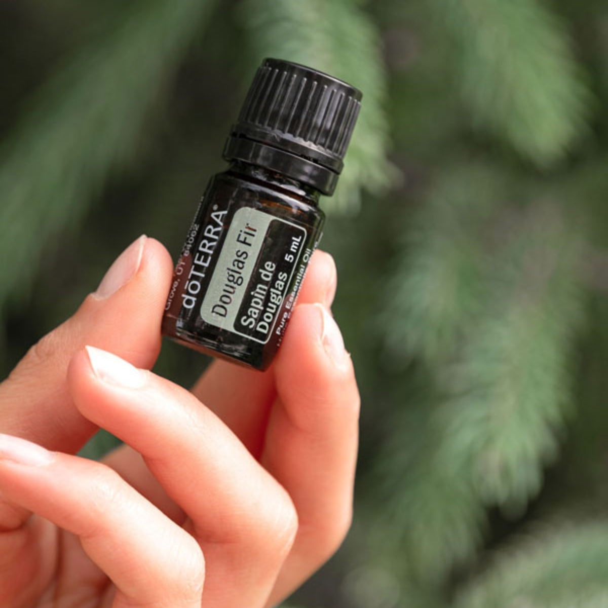 dōTERRA Douglas Fir Essential Oil - 5ml