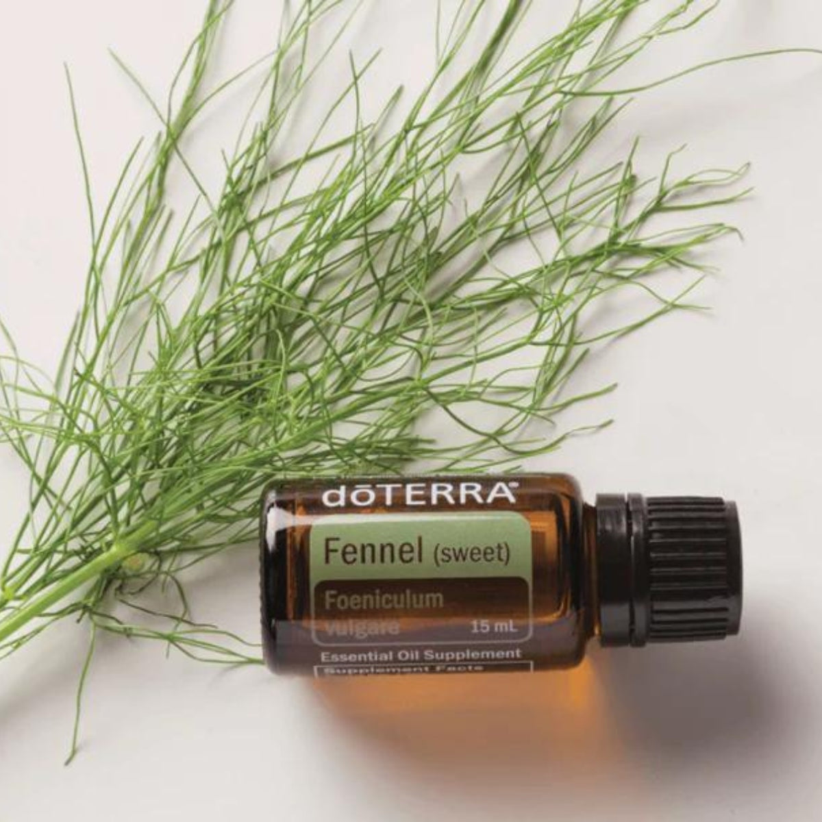 dōTERRA Fennel Essential Oil Life