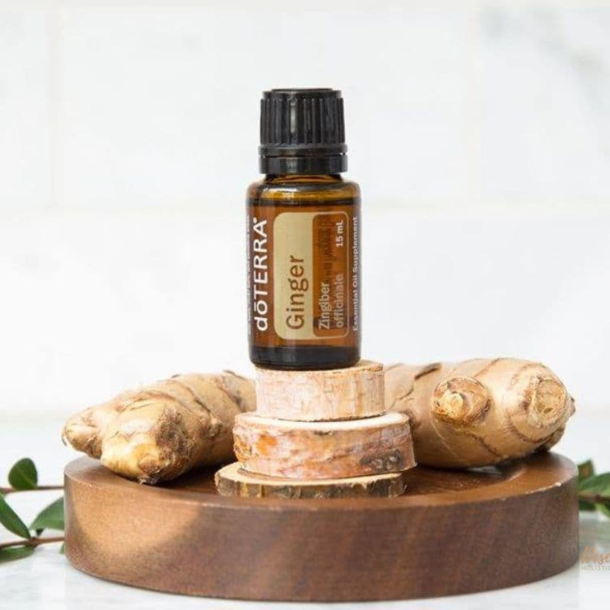 dōTERRA Ginger Essential Oil - 15ml