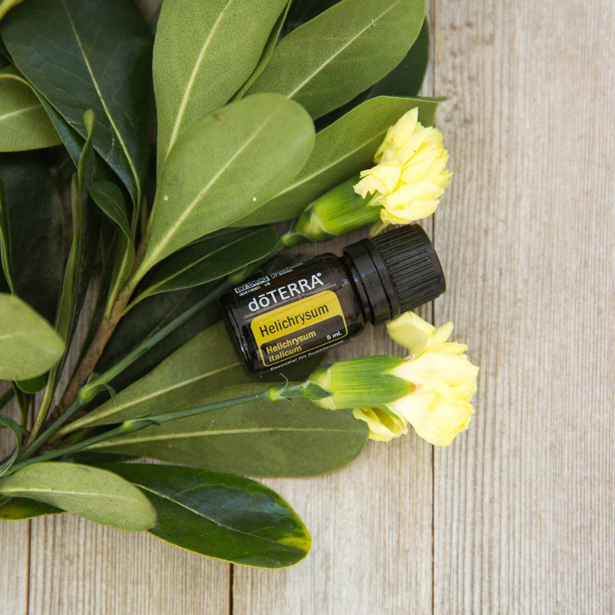 dōTERRA Helichrysum Essential Oil