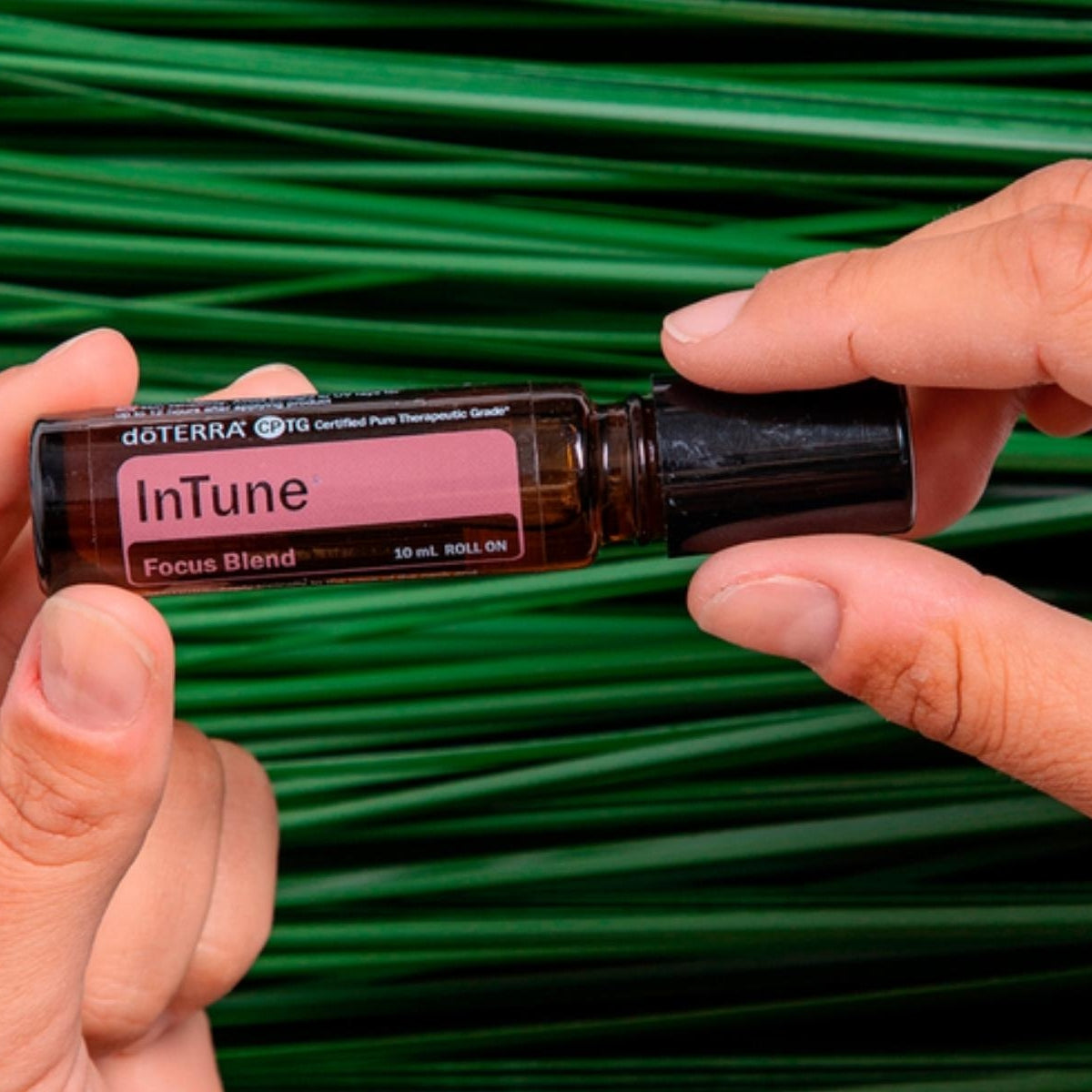 dōTERRA InTune® Focus Blend