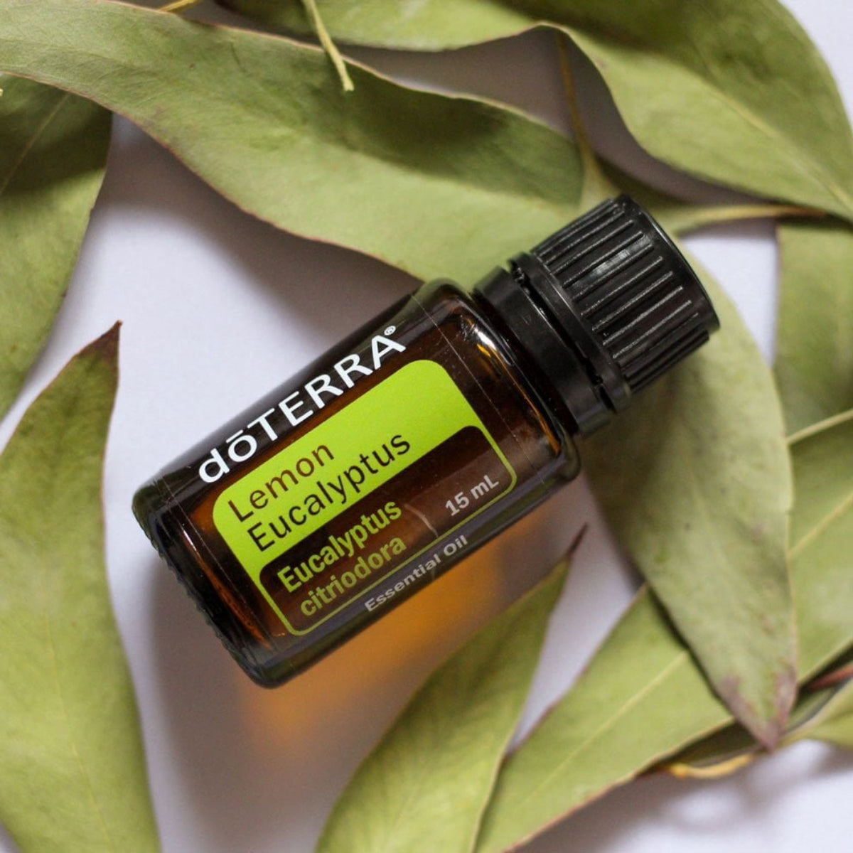 dōTERRA Lemon Eucalyptus Essential Oil Life