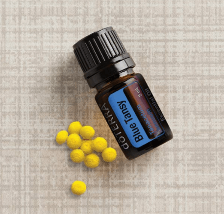 dōTERRA Blue Tansy Essential Oil - 5ml