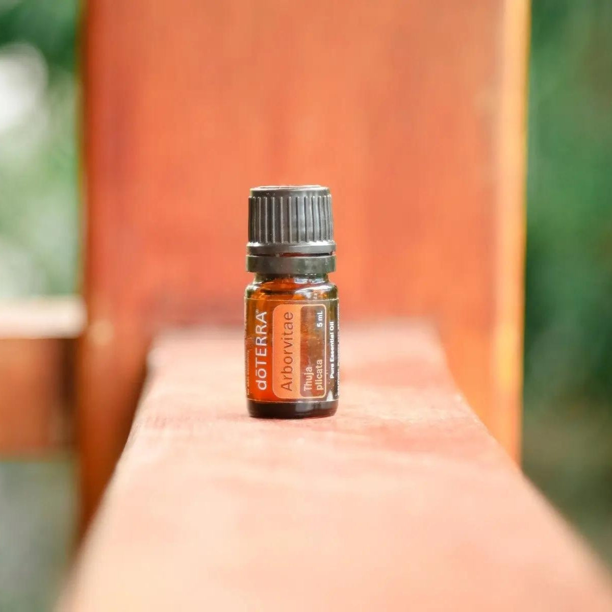 dōTERRA Óleo Essencial de Arborvitae