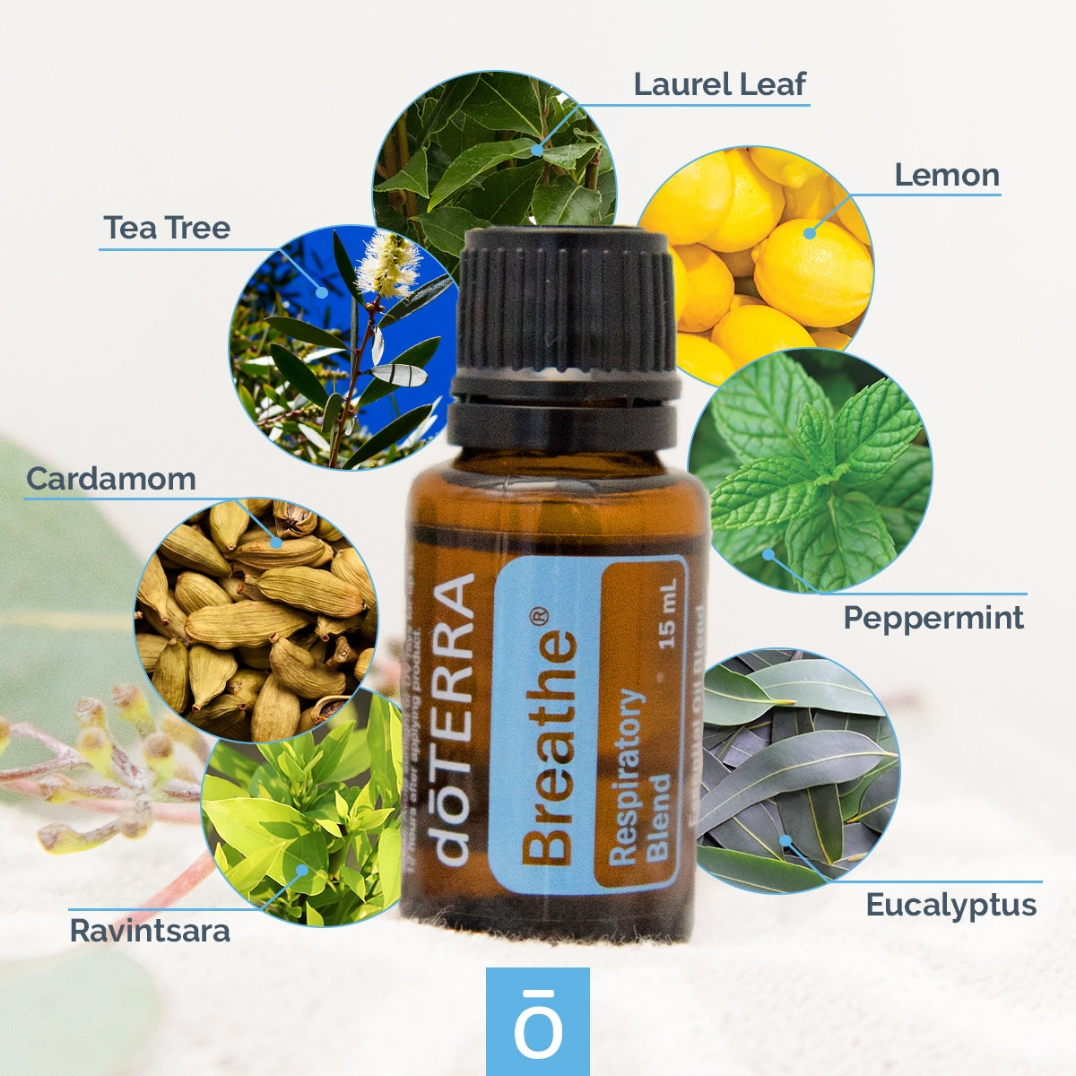 dōTERRA Breathe® Respiratory Blend Botanical