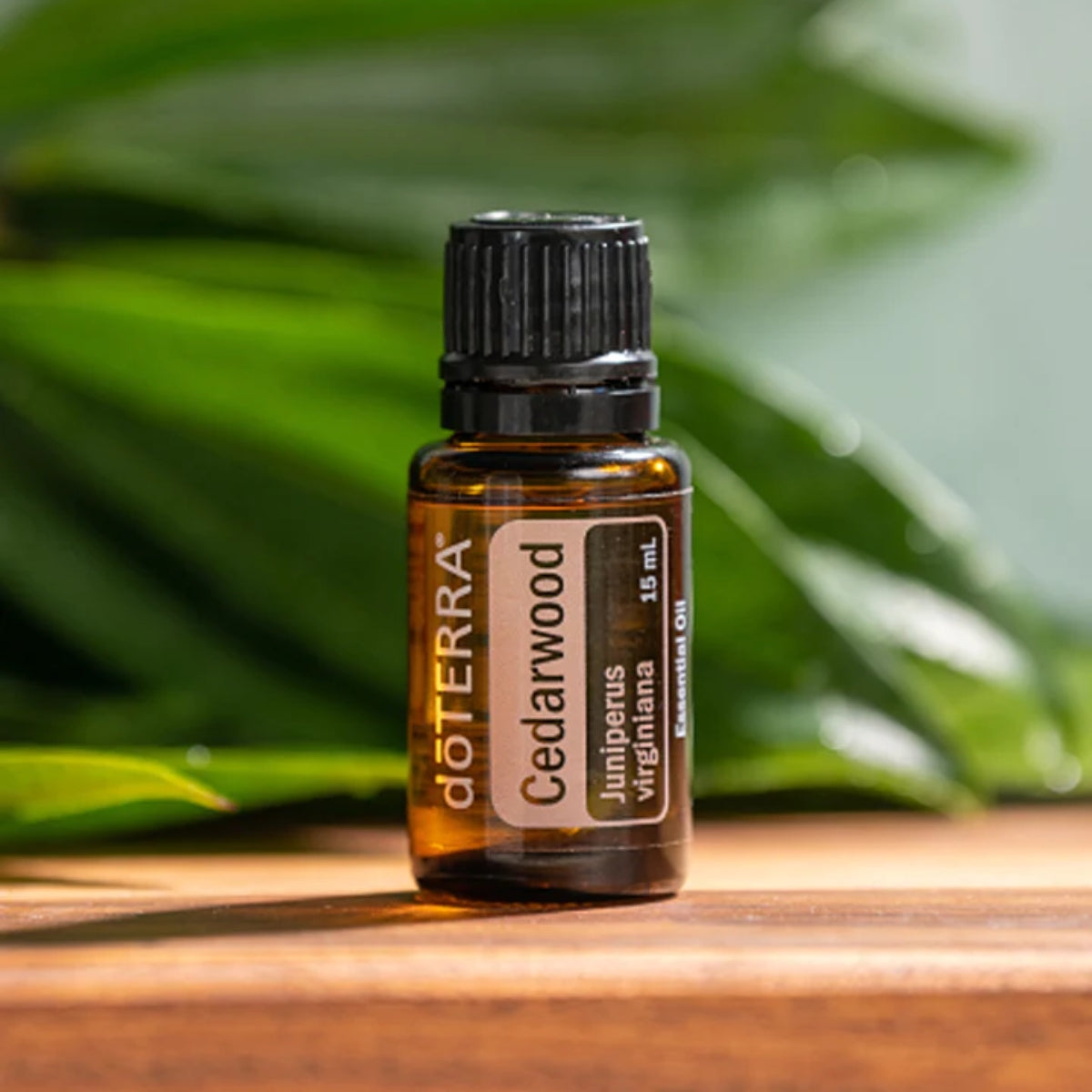 dōTERRA Cedarwood Essential Oil Life