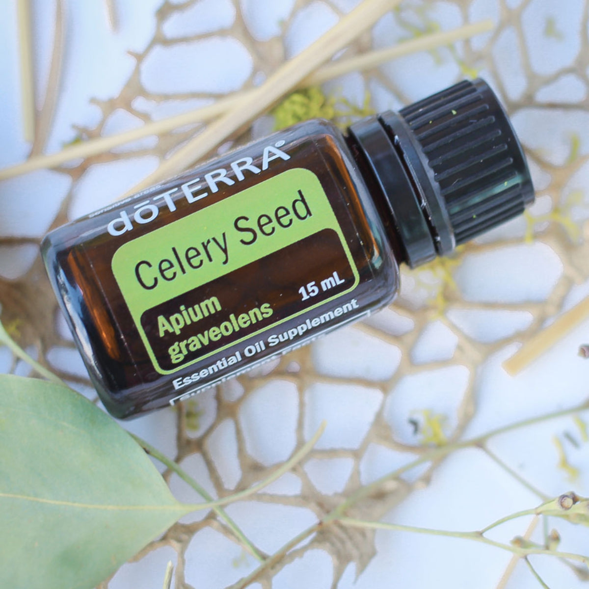 dōTERRA Celery Seed Oil Essential - 15ml