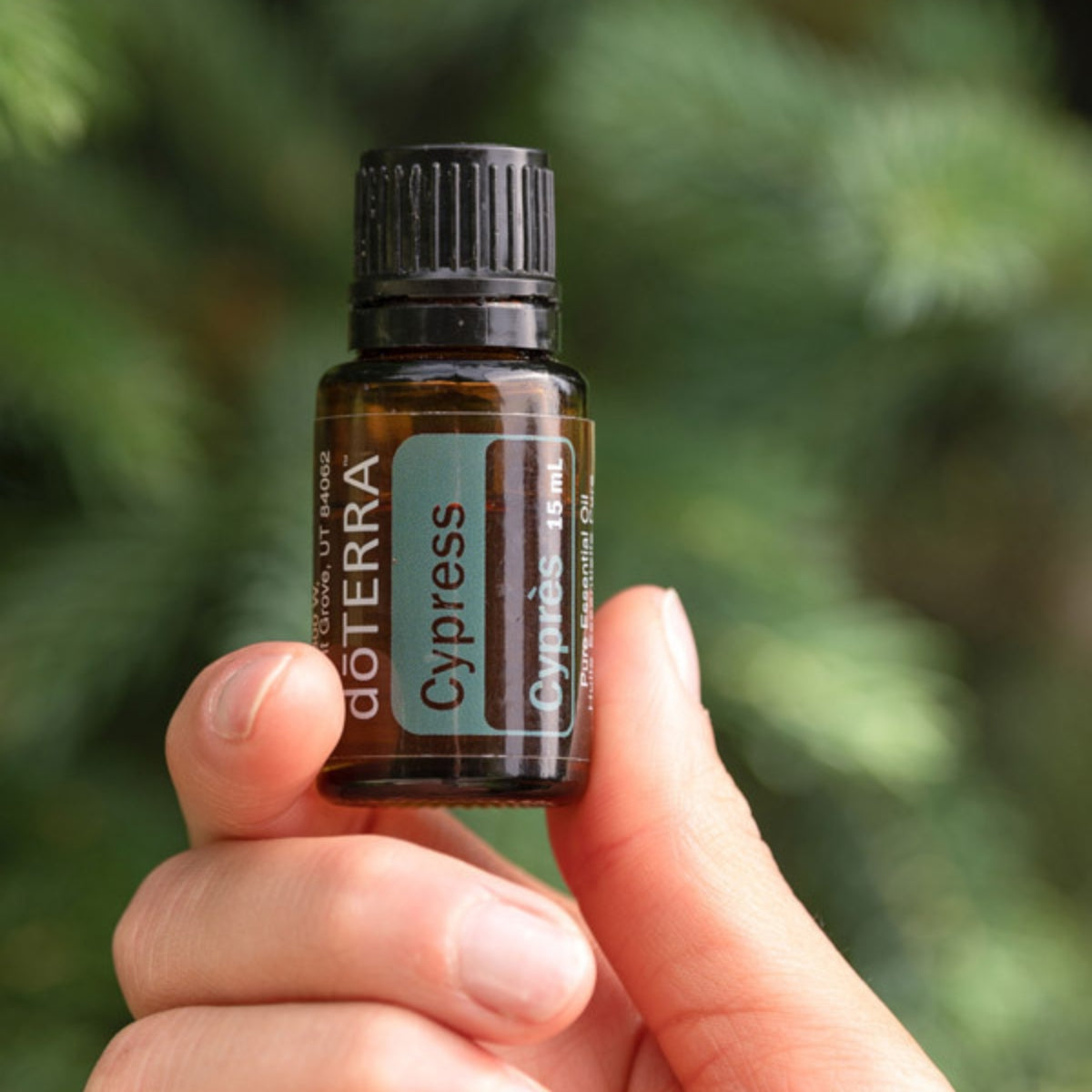 dōTERRA Cypress Essential Oil