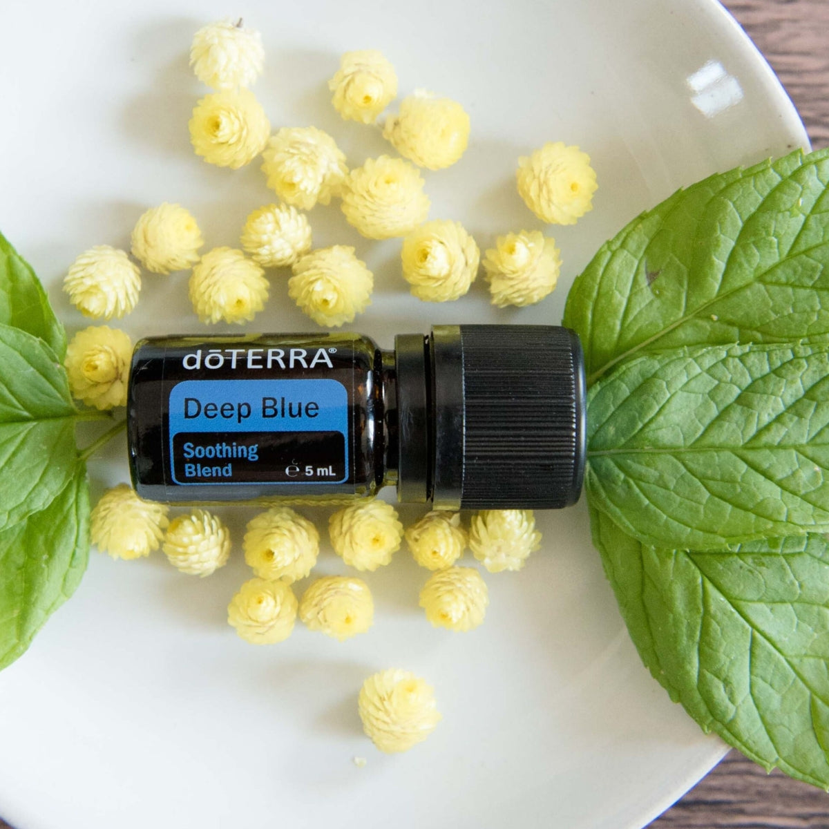 dōTERRA Deep Blue® Soothing Blend Life